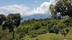 Antioquia 